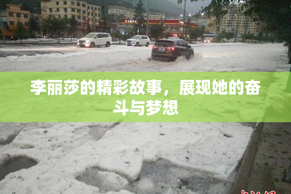 李丽莎的精彩故事，展现她的奋斗与梦想