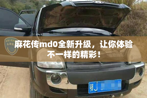 麻花传md0全新升级，让你体验不一样的精彩！