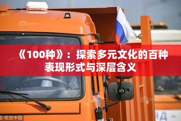 《100种》：探索多元文化的百种表现形式与深层含义