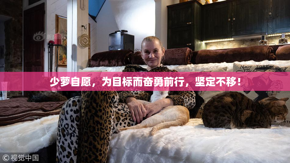 少萝自愿，为目标而奋勇前行，坚定不移！