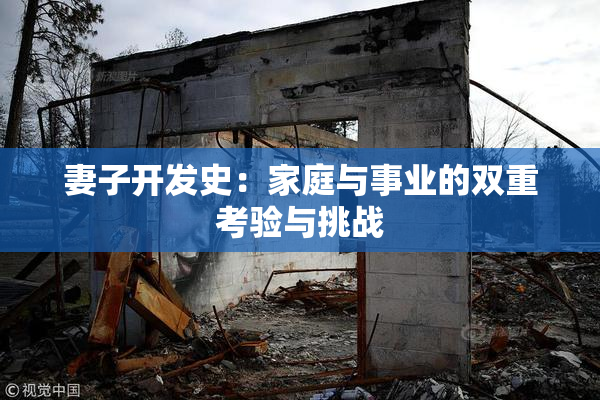 妻子开发史：家庭与事业的双重考验与挑战