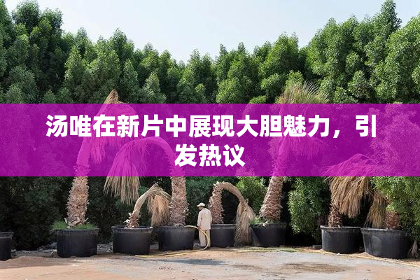 汤唯在新片中展现大胆魅力，引发热议
