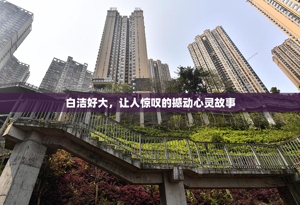 白洁好大，让人惊叹的撼动心灵故事