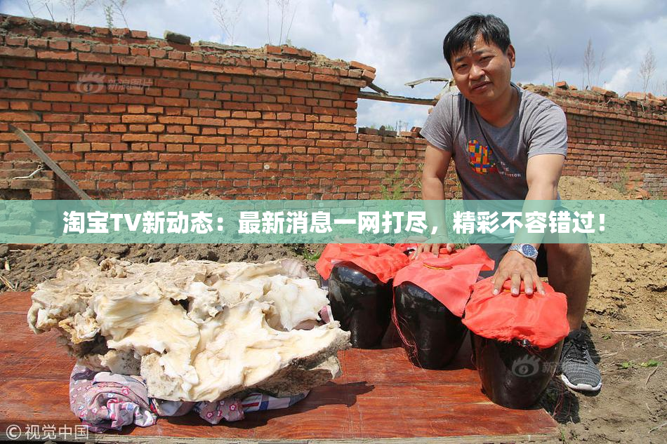 淘宝TV新动态：最新消息一网打尽，精彩不容错过！