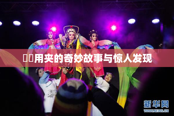 妺妺用夹的奇妙故事与惊人发现