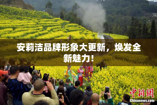 安莉洁品牌形象大更新，焕发全新魅力！