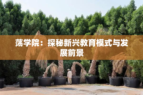 荡学院：探秘新兴教育模式与发展前景
