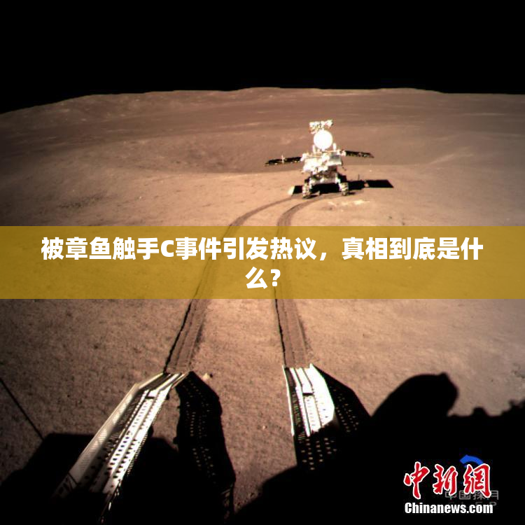 被章鱼触手C事件引发热议，真相到底是什么？