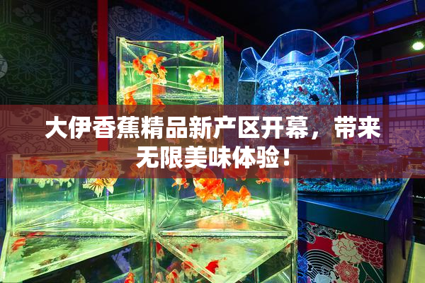 大伊香蕉精品新产区开幕，带来无限美味体验！