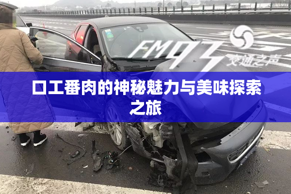 口工番肉的神秘魅力与美味探索之旅
