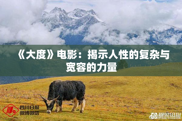 《大度》电影：揭示人性的复杂与宽容的力量