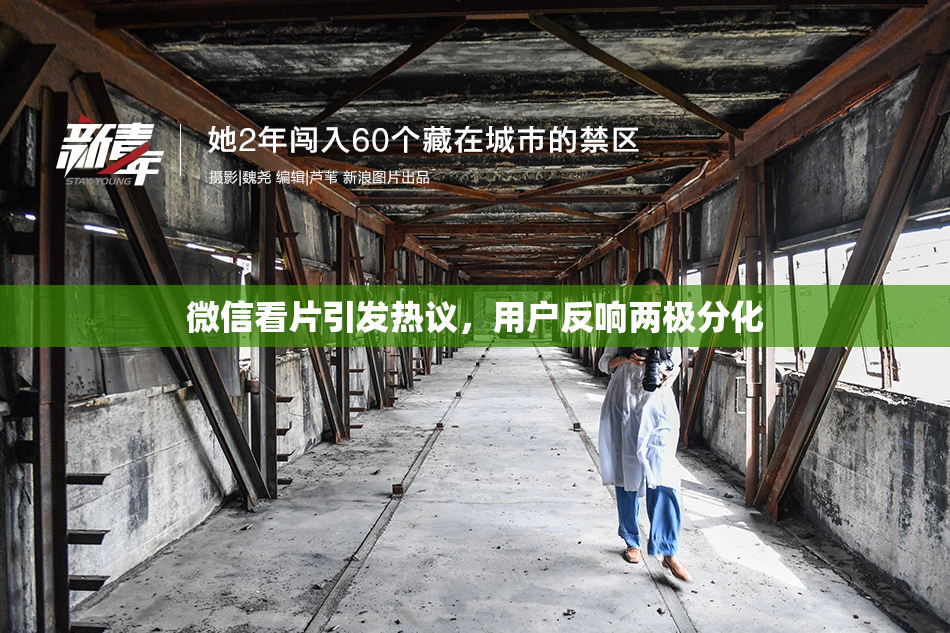 微信看片引发热议，用户反响两极分化