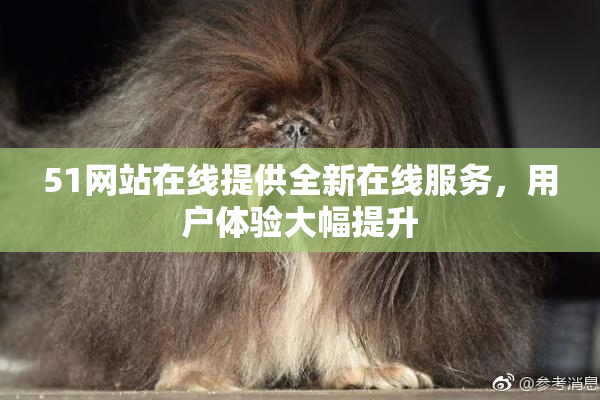 51网站在线提供全新在线服务，用户体验大幅提升