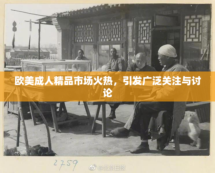 欧美成人精品市场火热，引发广泛关注与讨论