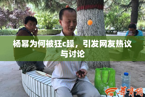 杨幂为何被狂c躁，引发网友热议与讨论