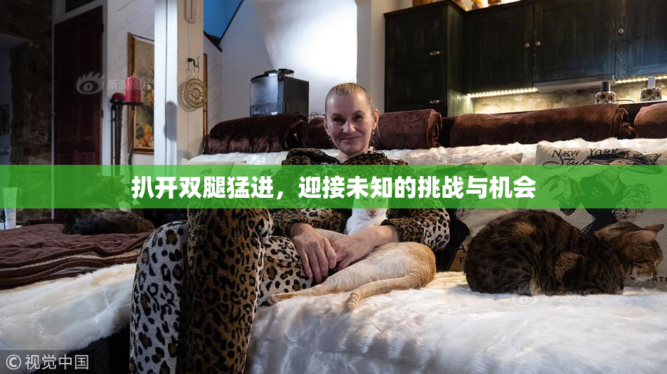 扒开双腿猛进，迎接未知的挑战与机会