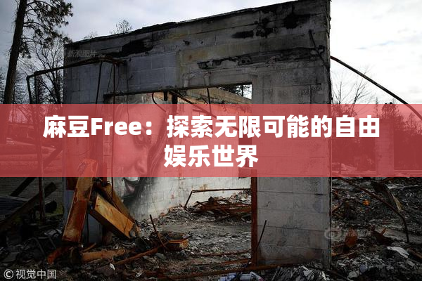 麻豆Free：探索无限可能的自由娱乐世界
