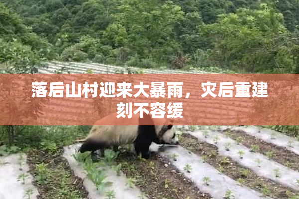 落后山村迎来大暴雨，灾后重建刻不容缓