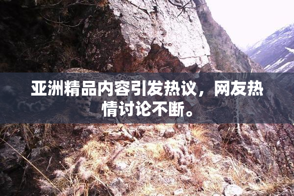 亚洲精品内容引发热议，网友热情讨论不断。