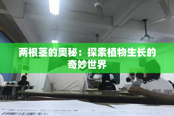 两根茎的奥秘：探索植物生长的奇妙世界