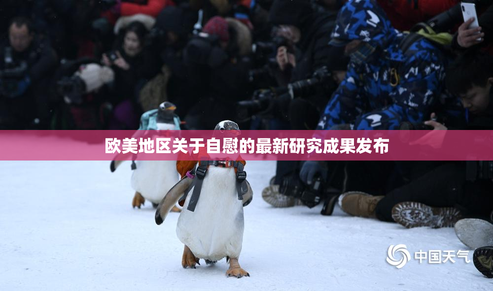 欧美地区关于自慰的最新研究成果发布