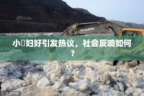 小婬妇好引发热议，社会反响如何？
