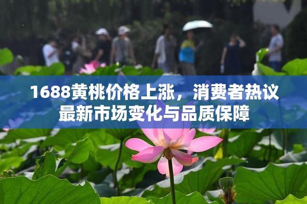 1688黄桃价格上涨，消费者热议最新市场变化与品质保障