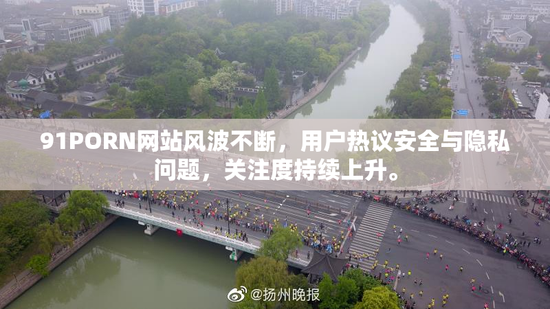 91PORN网站风波不断，用户热议安全与隐私问题，关注度持续上升。