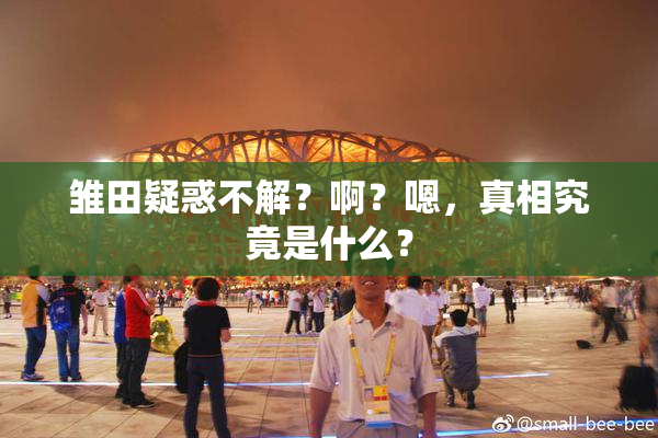 雏田疑惑不解？啊？嗯，真相究竟是什么？