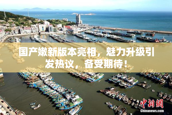 国产嫩新版本亮相，魅力升级引发热议，备受期待！