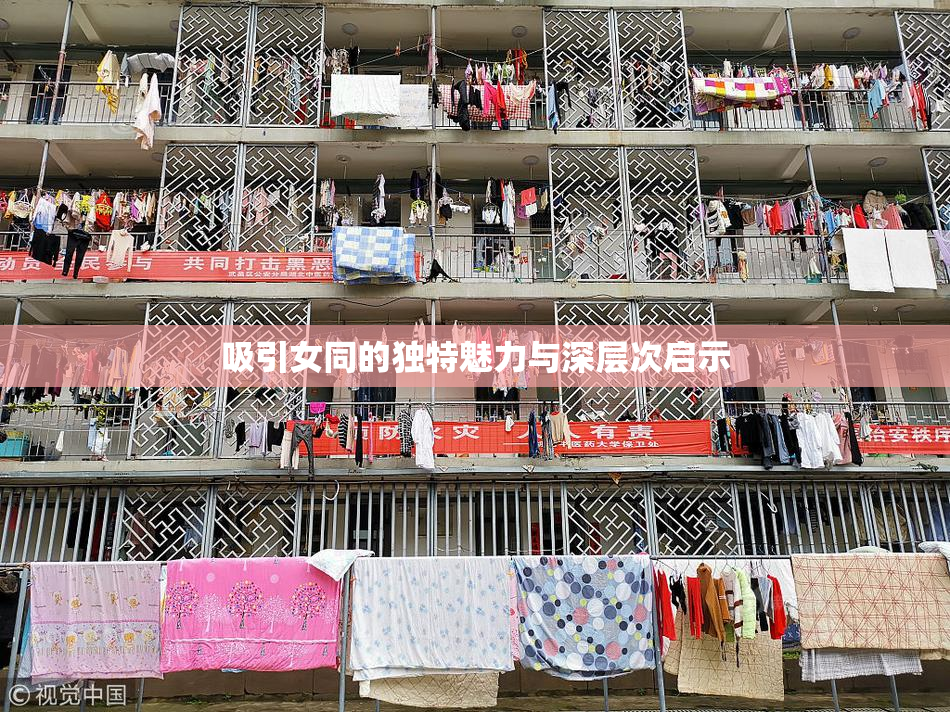 吸引女同的独特魅力与深层次启示