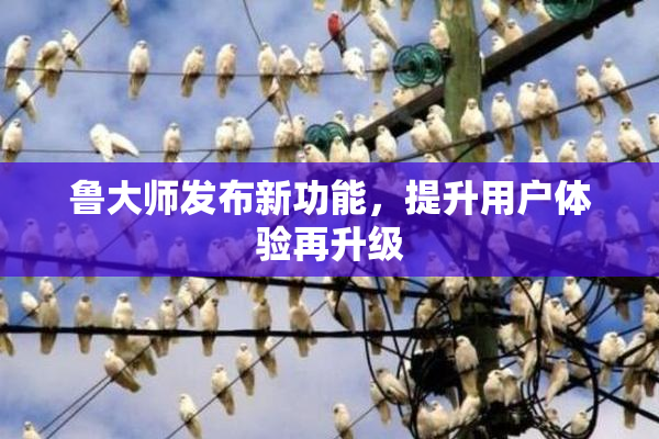 鲁大师发布新功能，提升用户体验再升级