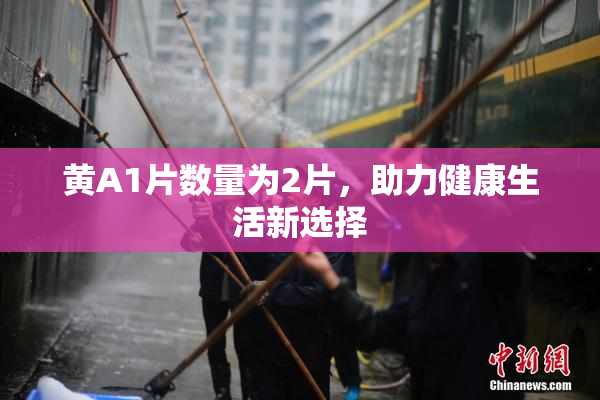黄A1片数量为2片，助力健康生活新选择