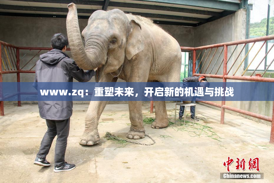 www.zq：重塑未来，开启新的机遇与挑战