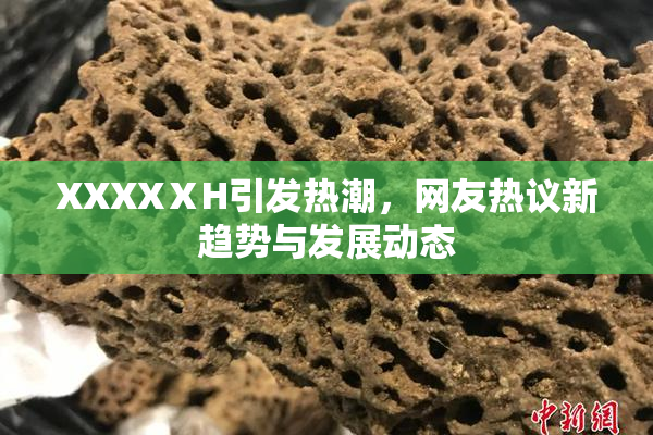 XXXXⅩH引发热潮，网友热议新趋势与发展动态
