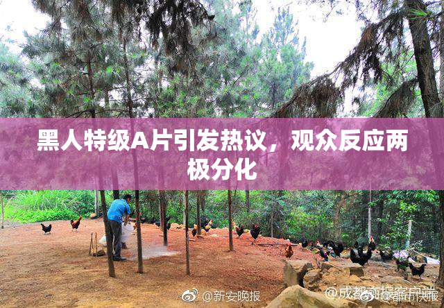 黑人特级A片引发热议，观众反应两极分化