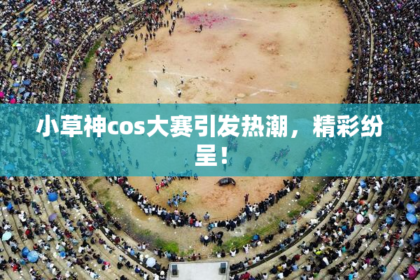 小草神cos大赛引发热潮，精彩纷呈！