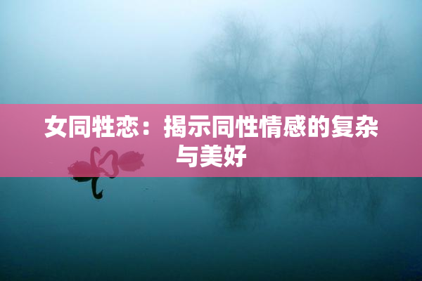 女同牲恋：揭示同性情感的复杂与美好