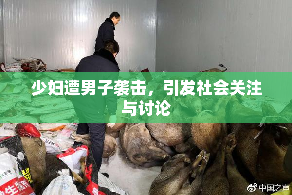 少妇遭男子袭击，引发社会关注与讨论