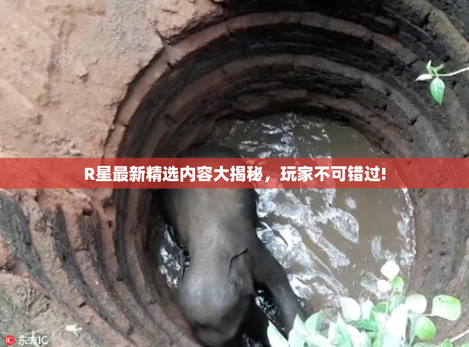 R星最新精选内容大揭秘，玩家不可错过!