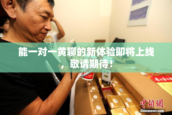 能一对一黄聊的新体验即将上线，敬请期待！