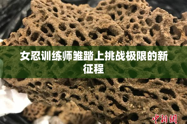 女忍训练师雏踏上挑战极限的新征程