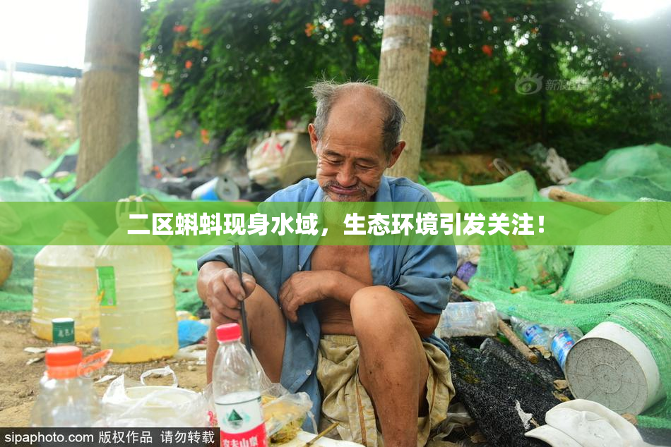 二区蝌蚪现身水域，生态环境引发关注！