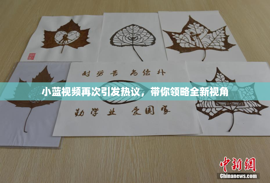 小蓝视频再次引发热议，带你领略全新视角