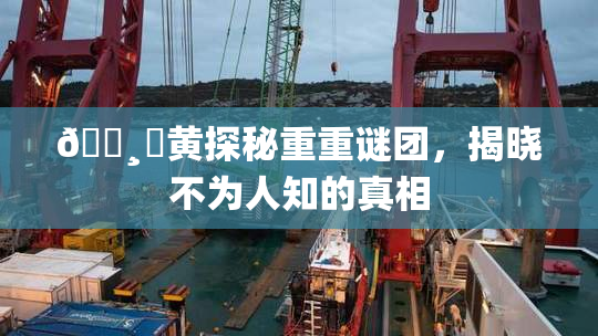 🌸‌黄探秘重重谜团，揭晓不为人知的真相