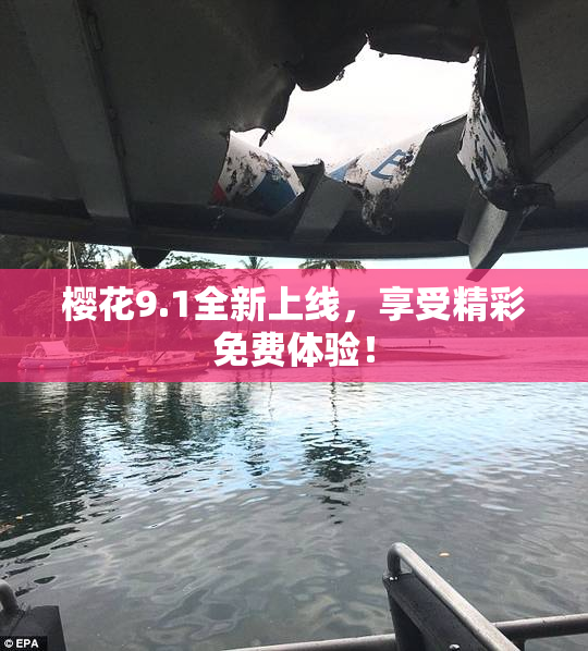 樱花9.1全新上线，享受精彩免费体验！
