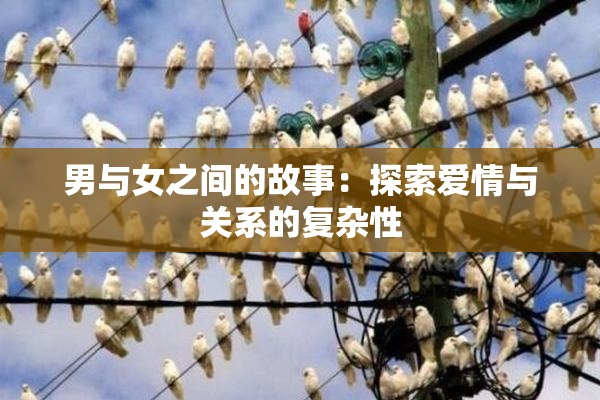 男与女之间的故事：探索爱情与关系的复杂性