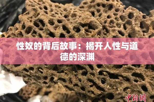 性奴的背后故事：揭开人性与道德的深渊