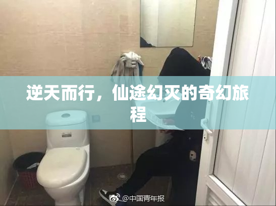 逆天而行，仙途幻灭的奇幻旅程