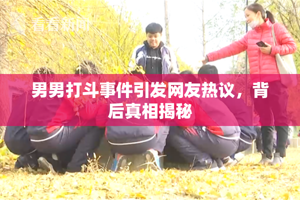 男男打斗事件引发网友热议，背后真相揭秘